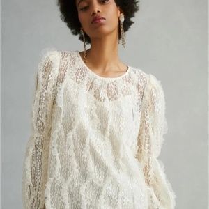 Anthro Daniel Rainn Sheer Blouse Large NWT